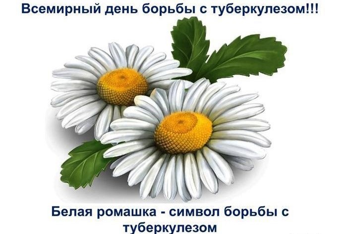24 МАРТА - ВСЕМИРНЫЙ ДЕНЬ БОРЬБЫ С ТУБЕРКУЛЕЗОМ 24 МАРТА - ВСЕМИРНЫЙ ДЕНЬ БОРЬБЫ С ТУБЕРКУЛЕЗОМ.